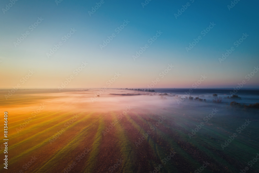 Beautiful view of the fog over the field with trees at sunrise