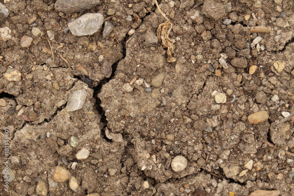 Cracked ground as a global warming and drought concept Cracked ground as a global warming and drought concept