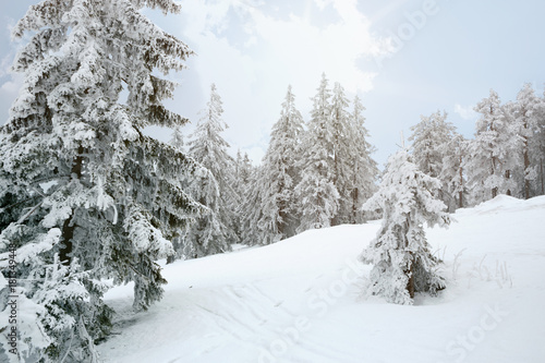 Fotografía Beautiful winter mountains landscape in morning.