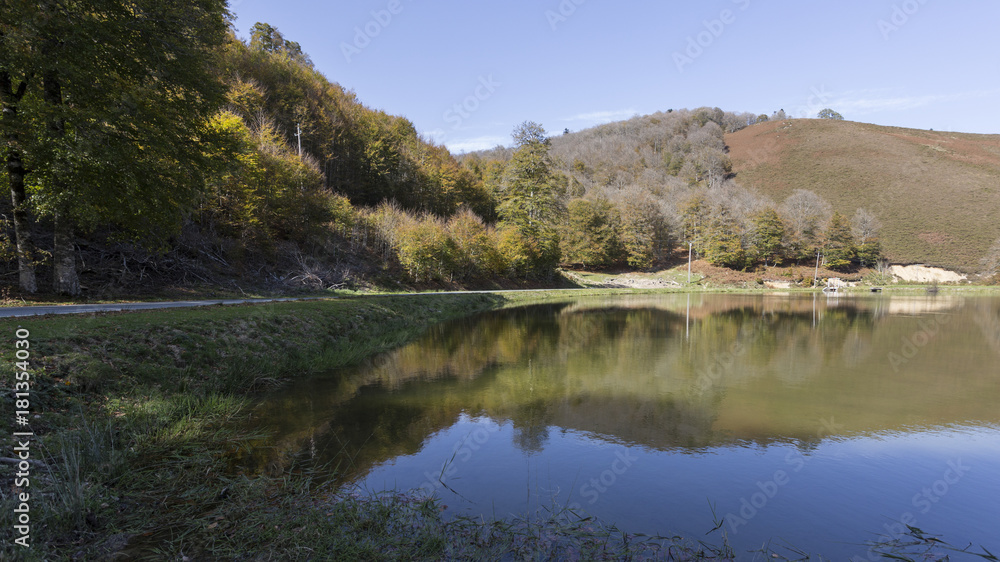 forest in autumn in the Pyrenees.