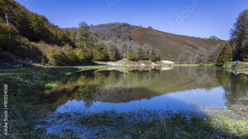 Obraz na płótnie forest in autumn in the Pyrenees. w salonie