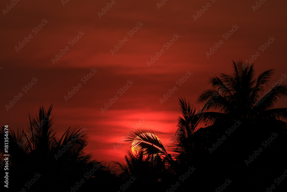 silhouette of coconuts palm tree in sunset. Concept for summer season
