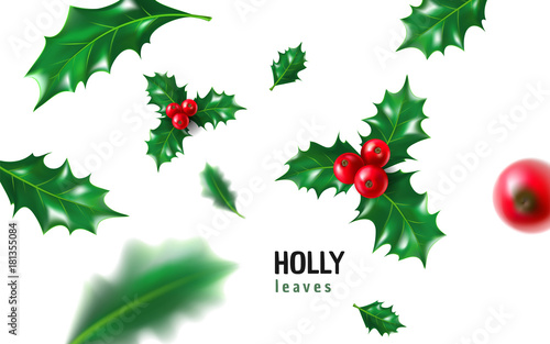 Realistic holly, ilex with berry and leaves, mistletoe set. Christmas, new year holiday celebration symbol, decorations. 3d realistic vector illustration isolated on white background © Sensvector