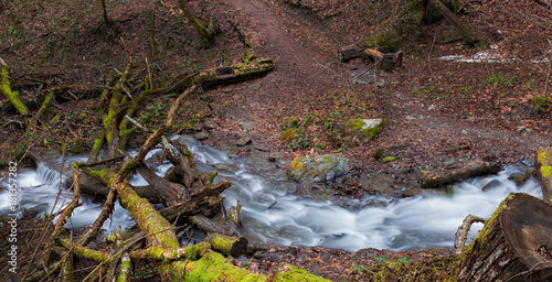 Hiking trail and a mountain stream, the trees and rocks covered with moss in autumn forest. Resort Rosa Khutor, Sochi, Russia.