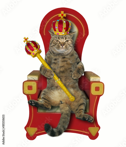 The cat king is sitting on the throne. White background.