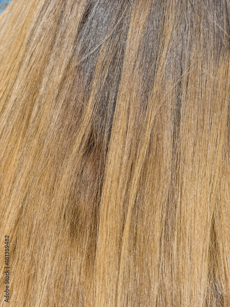 woman with blond long hair woman with blond long hair