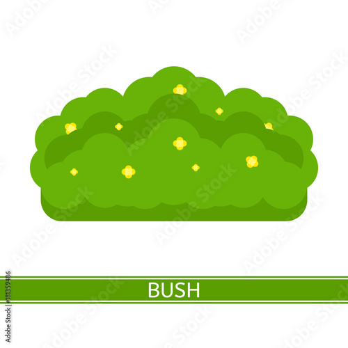 Vector illustration of bush with yellow flowers, isolated on white background, in flat style