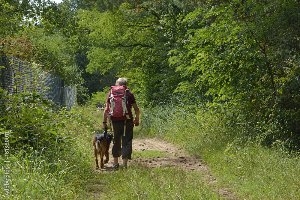 Fototapeta premium eine frau mit hund wandert auf einem naturweg