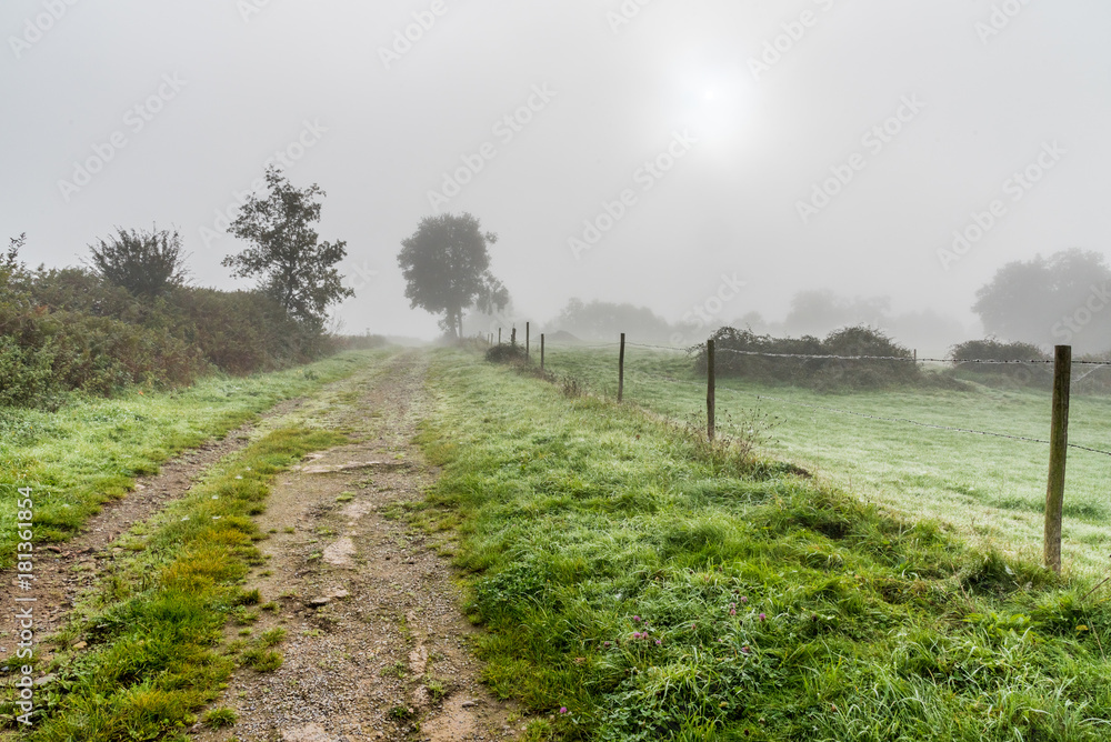 A path in the countryside, grass covered with dew and the sun trying to pierce the fog of a cold morning