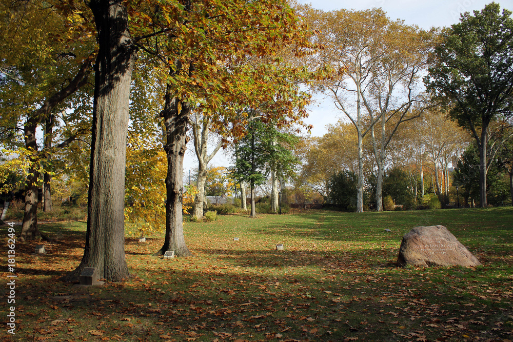 Fototapeta premium Autumn in Central Park, New York, USA