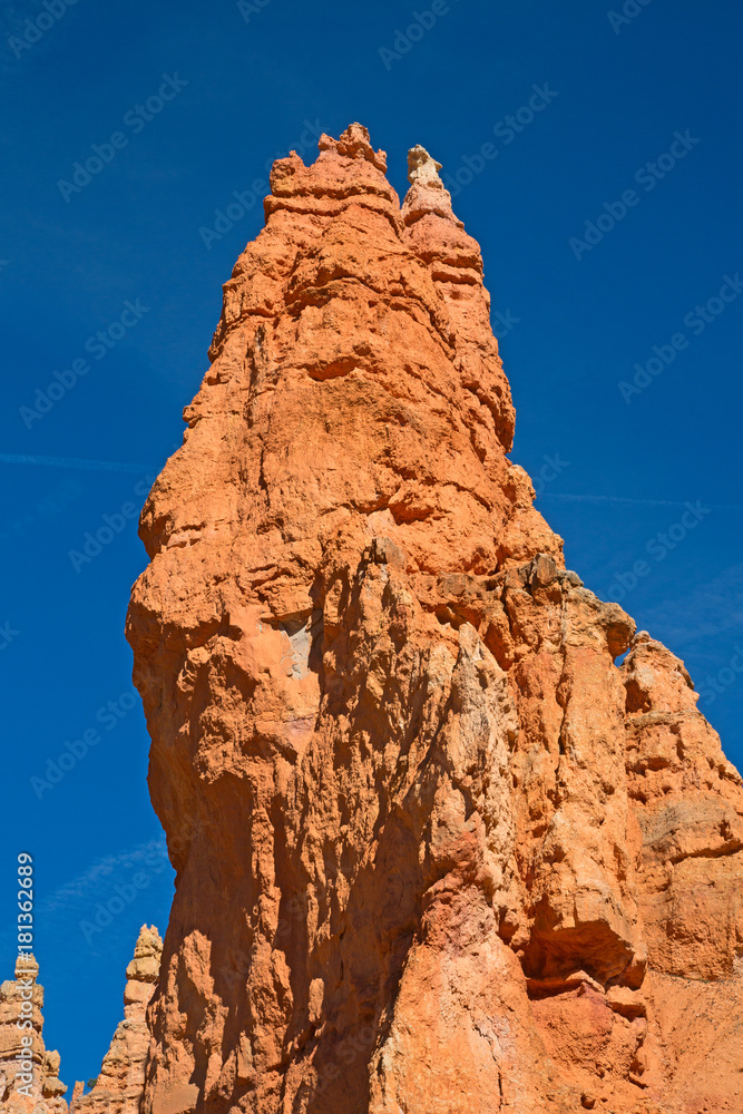 Naklejka premium Bryce canyon