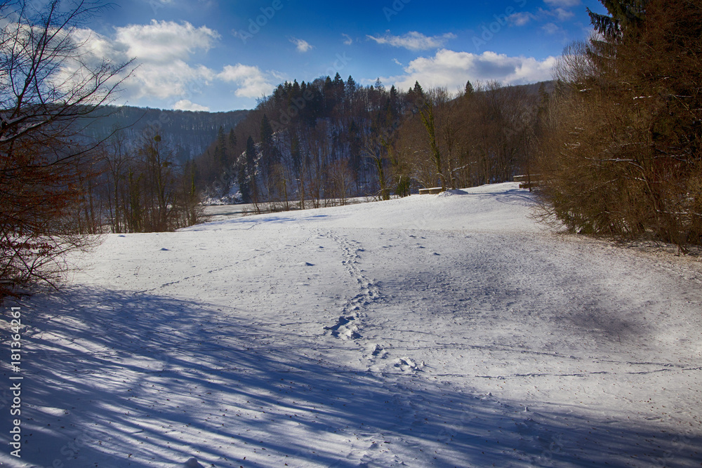 Winter on Plitvice lakes, national park in Croatia Winter on Plitvice lakes, national park in Croatia