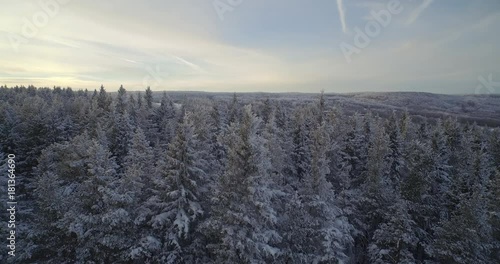 A drone shot rising up and forward of a forest covered in snow