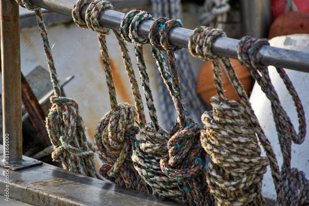 fishing ropes and knots