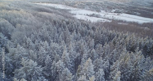 A drone shot looking down at a forest covered in snow