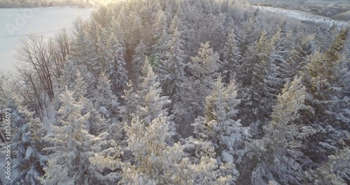 A drone shot looking down at snow perfectly covering trees with the suns light shining in