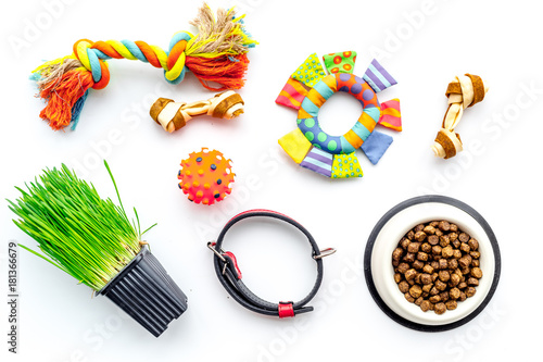 Toys for cat near dry food and grass in pot on white background top view