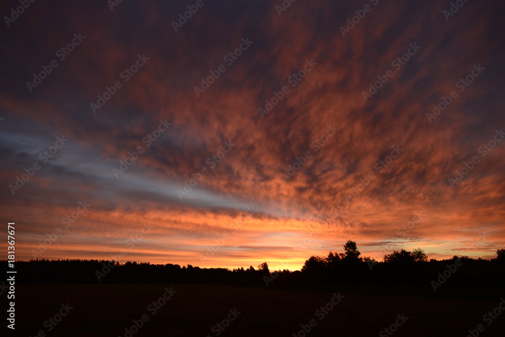Fototapeta premium Beautiful colorful sky over the forest at dawn
