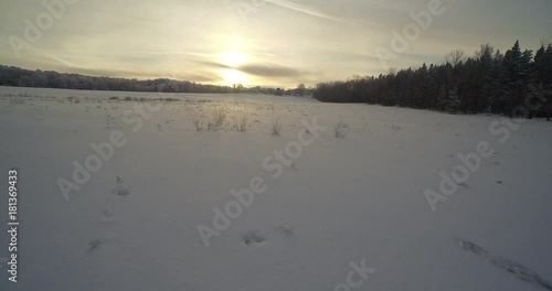 A drone shot of a layer of snow with the sun rising behind some trees