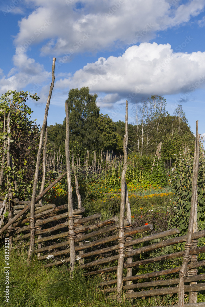 Fototapeta premium A traditional Swedish fencing around a vegetable garden