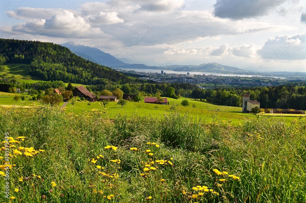 Landschaft im Knonaueramt mit Blick auf den Zugerberg, Stadt Zug und Zugersee, Schweiz - Europa