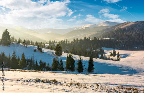 forested hills of mountain ridge in winter. gorgeous nature scenery at sunrise