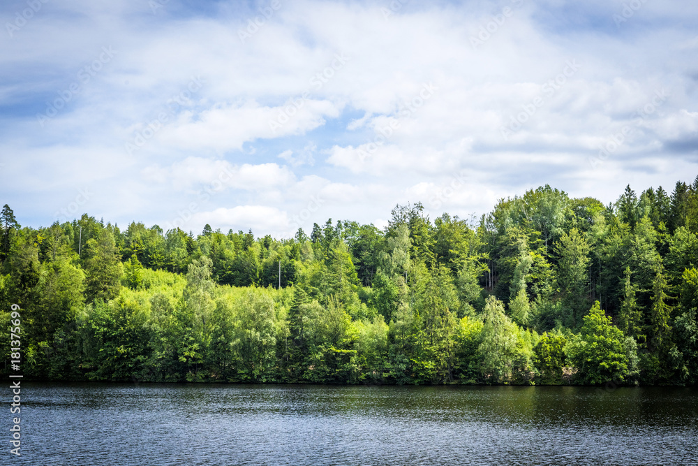 Lake scenery with green trees and blue sky Lake scenery with green trees and blue sky