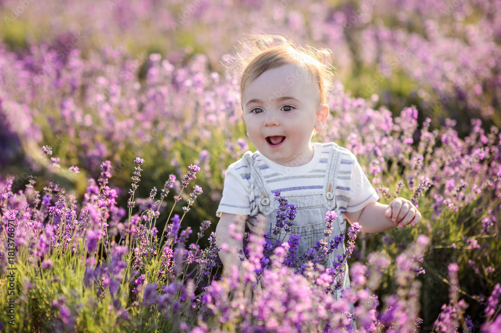 Beautiful child in a field of lavender on sunset. Beautiful child in a field of lavender on sunset.