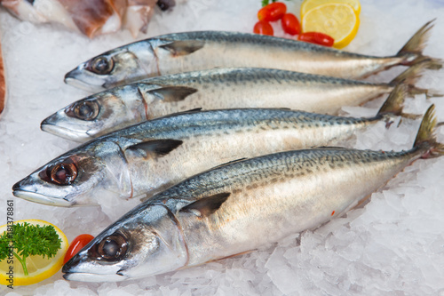 Fresh Mackerel or Saba Fish on ice in market