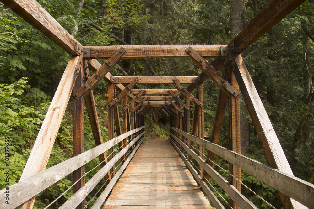Wooden walking bridge into the forest