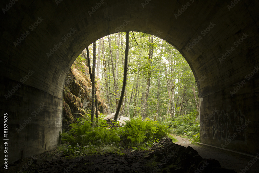 Looking out a tunnel onto a green forested nature trail