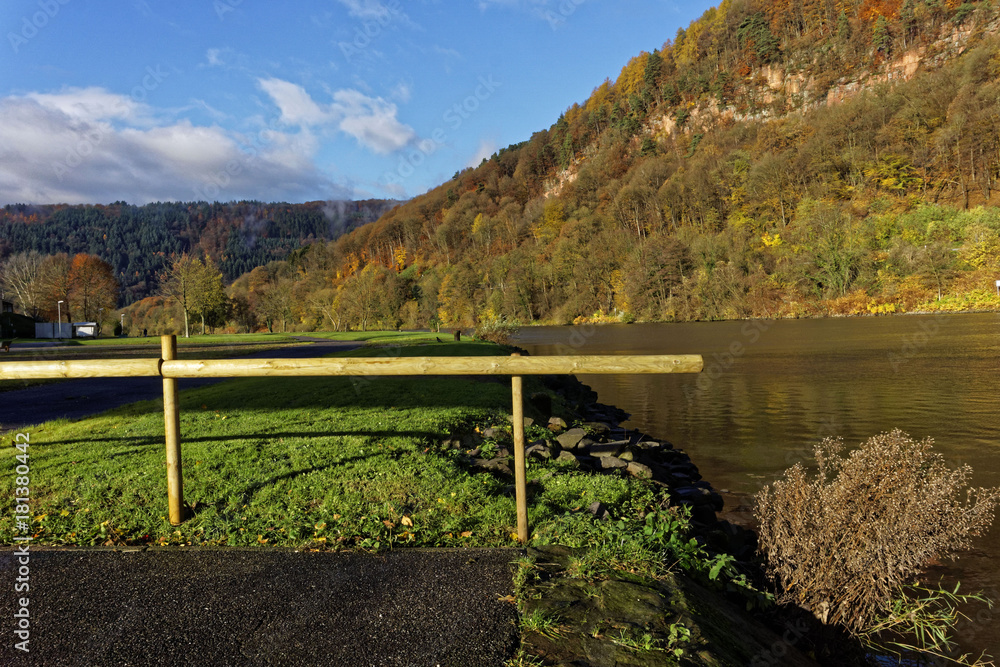 Naklejka premium river landscape and forest in November light 