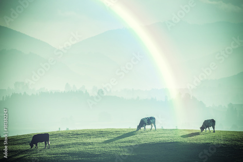 Vintage Landscape with Cows and Rainbow