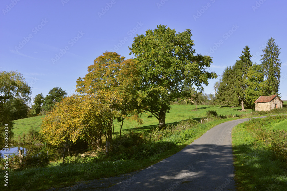 Route de campagne dans la Creuse en région Nouvelle-Aquitaine, France