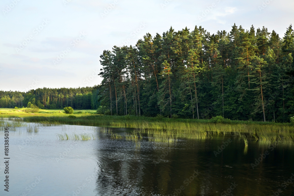 Echo lake near Zwierzyniec. Poland