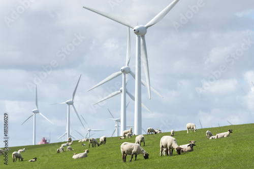 Deutschland, Niedersachsen, Krummhörn, Windenergieanlage. Natürlicher Küstenschutz, Schafe auf dem Seedeich bei Emden.