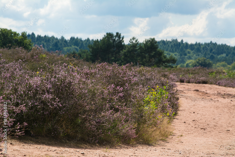 mehlinger heide mehlinger heide
