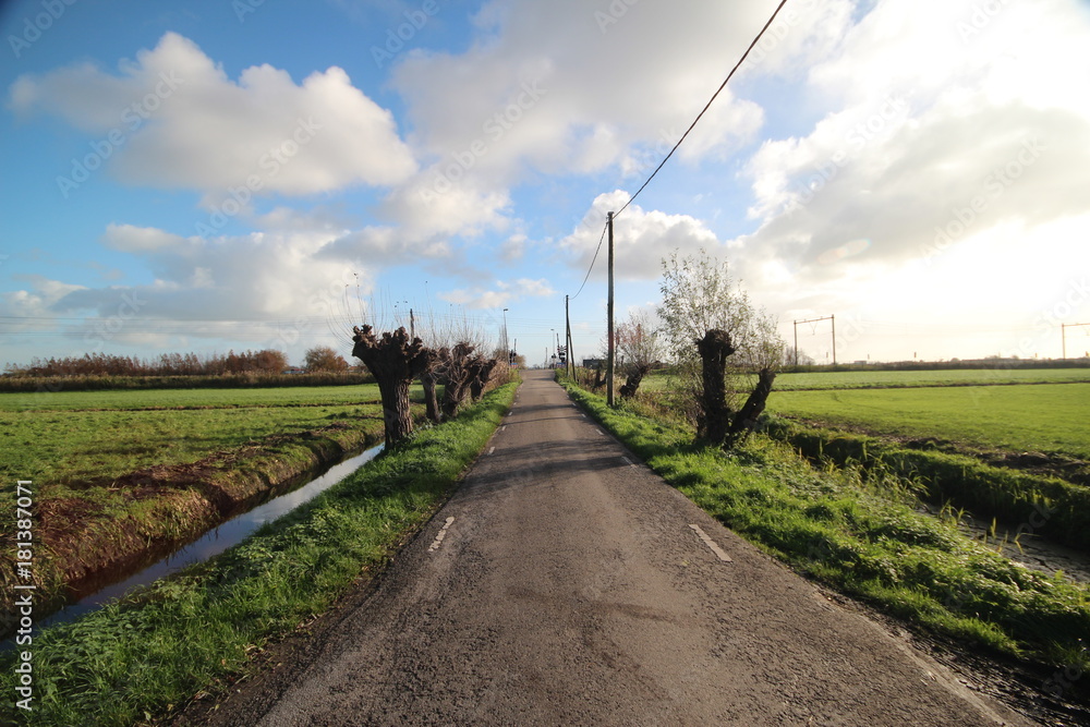 Small countryroad in the Zuidplaspolder in Moordrecht, The Netherlands. On the Horizon is a railroad crossing, knotted willows on the side of the road and blue sky with white clouds