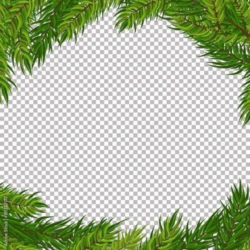 Christmas vector tree decorative frame with transparent background. Realistic pine branches illustration
