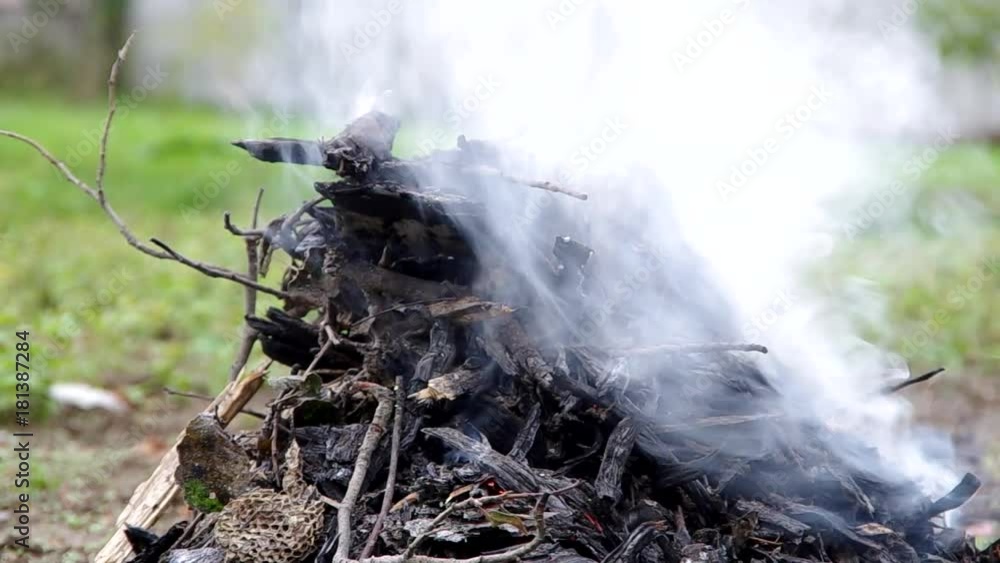 Burning fire with orange flame on a green background
