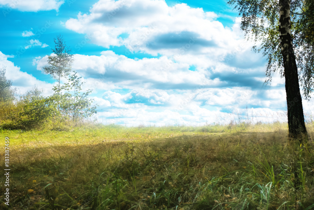 Fototapeta premium Beautiful landscape