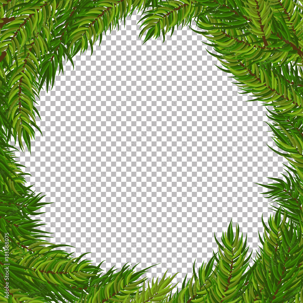 Christmas vector tree decorative frame with transparent background. Realistic pine branches illustration