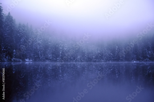 Glaswaldsee im Nebel