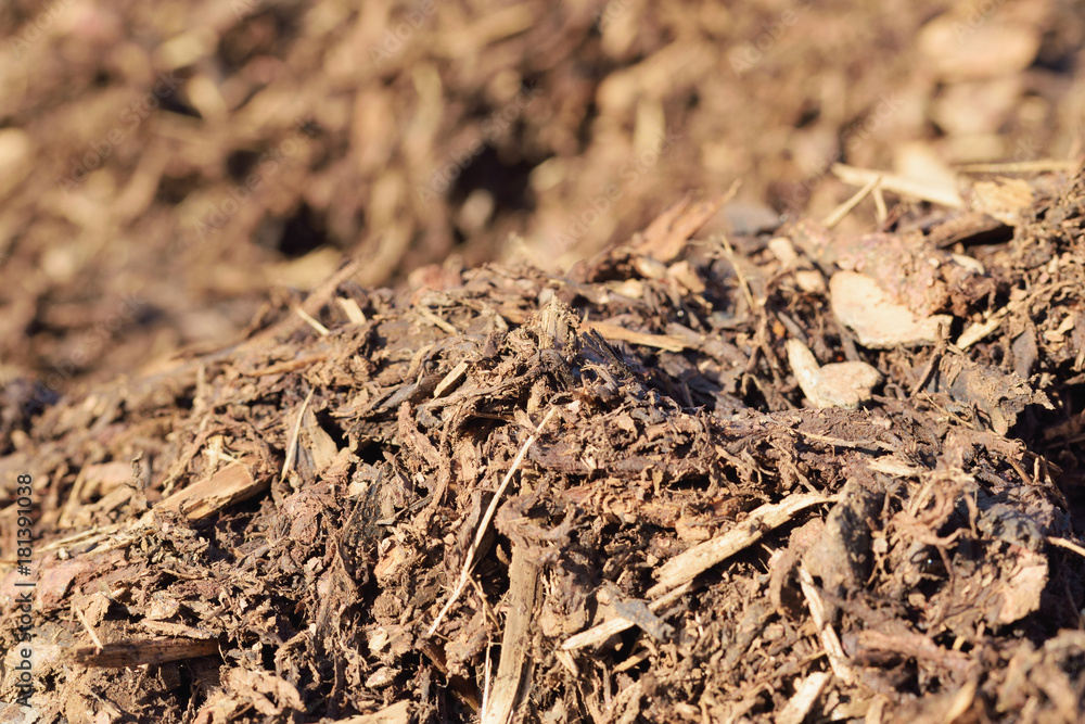 Rindenmulch unscharfer Hintergrund Rindenmulch unscharfer Hintergrund