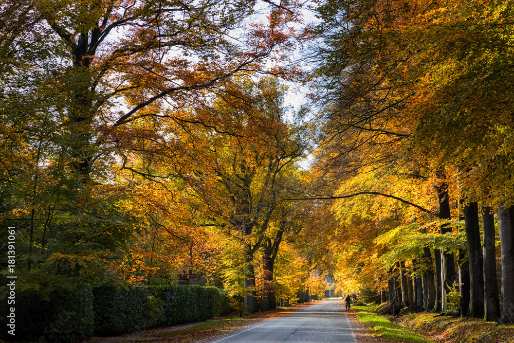 Naklejka premium Wonderful autumn colors 