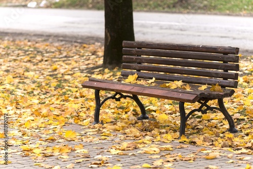 autumn fall park bench