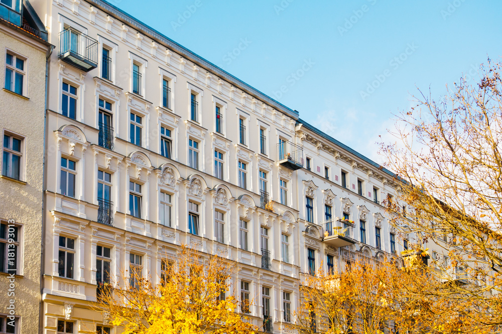 Fototapeta premium beautiful white buildings in a row with orange trees