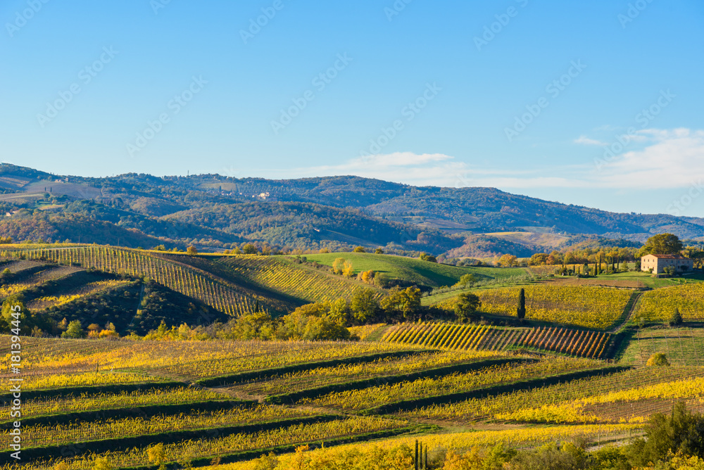 Tuscany landscape at sunset in autumn. Chianti wine region, Italy.