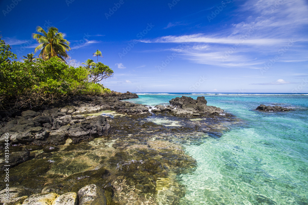 Obraz premium palm trees ocean samoa