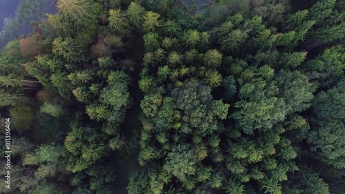 flying above green forest at summer time photo